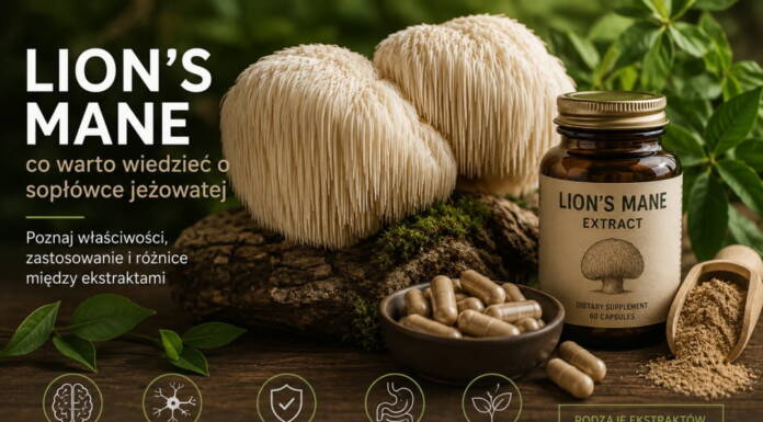 Lion’s Mane – co warto wiedzieć o soplówce jeżowatej. Poznaj właściwości, zastosowanie i różnice między ekstraktami